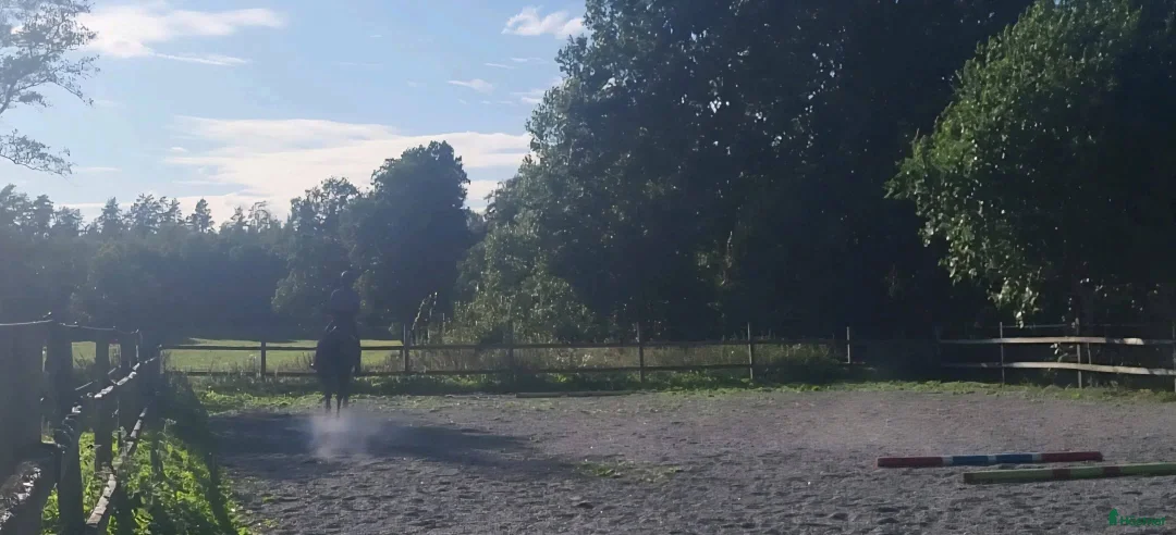  stallplats finnes: Ärla, Eskilstuna: Lösdrift och stallplatser lediga - Annons 2