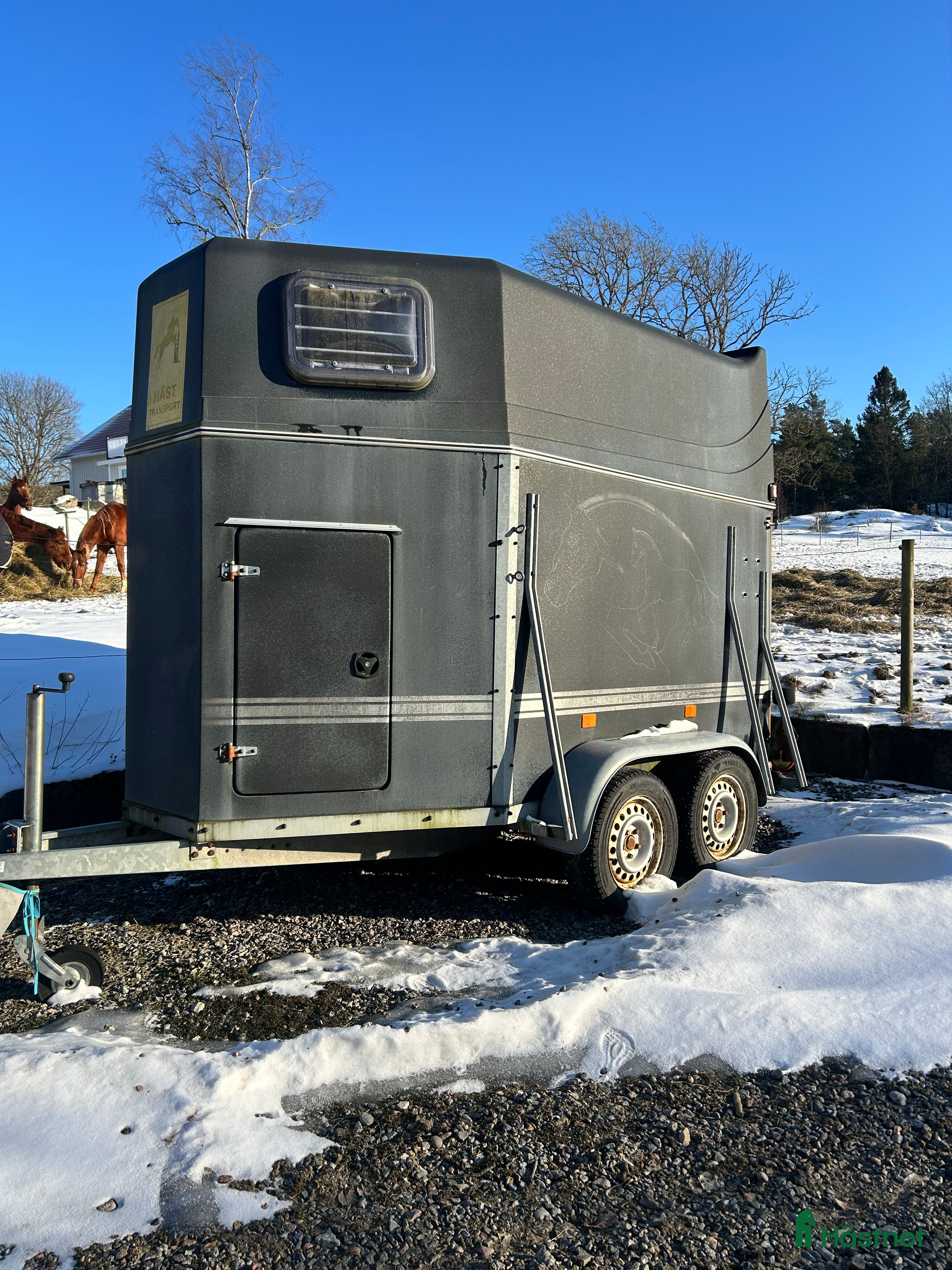 Hästtransporter  fordon & transport till salu: Trevlig hästtransport - Annons 2
