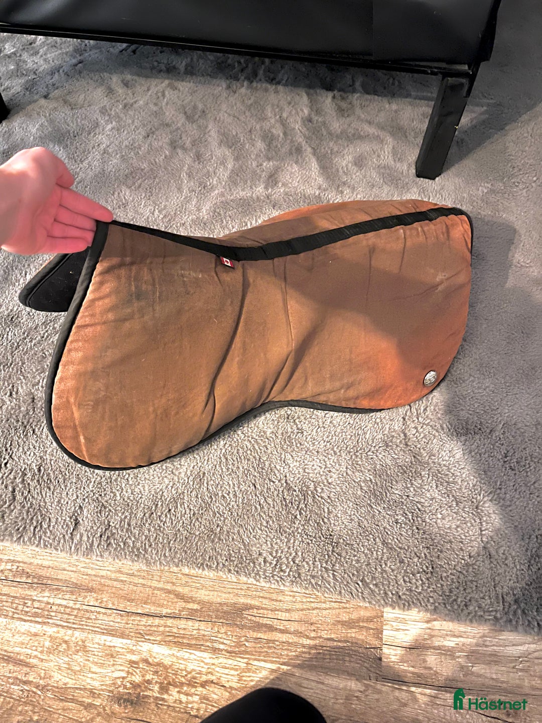 Sadeltillbehör hästutrustning till salu: Ogilvy padd  i Norrköping - Annons 1