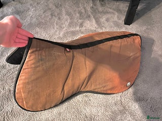 Sadeltillbehör hästutrustning till salu: Ogilvy padd i Norrköping - Annons 2