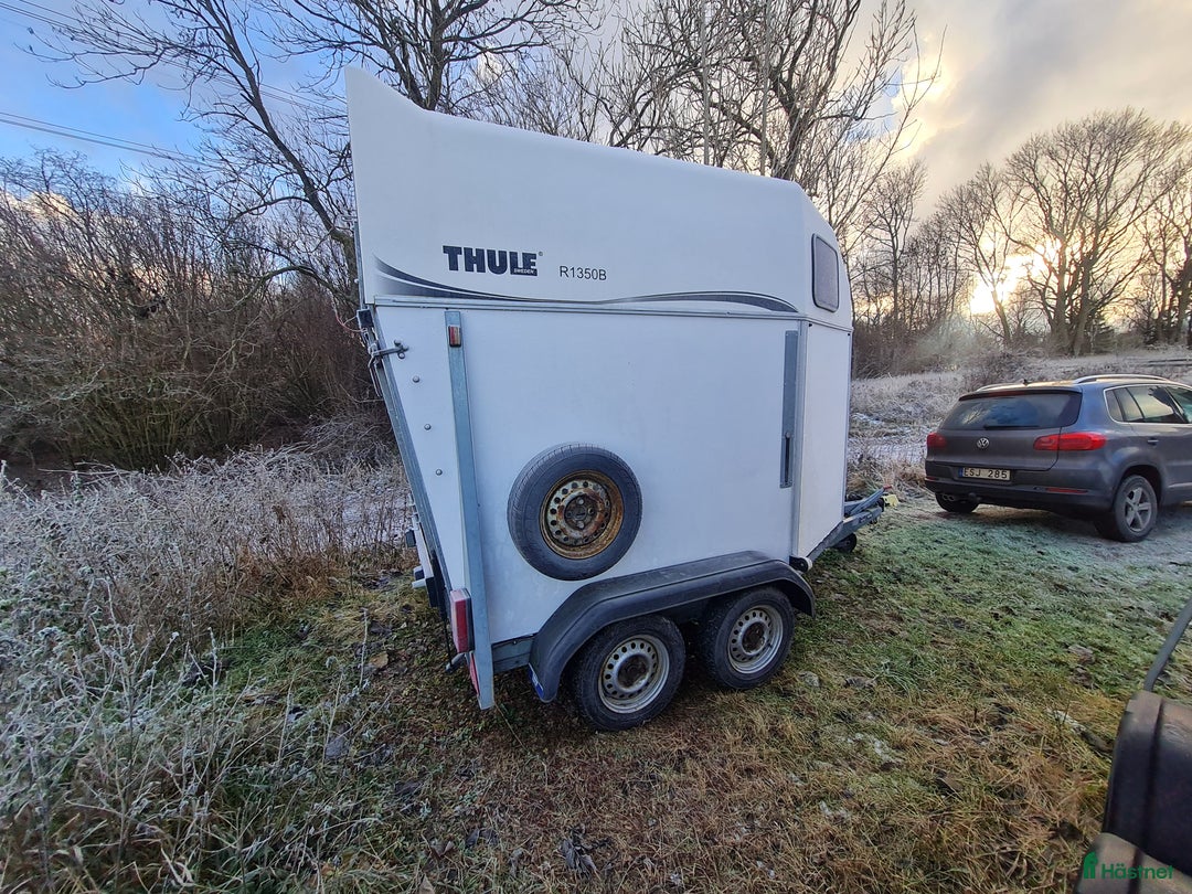 Hästtransporter  fordon & transport till salu: Hästtransport Thule  i Borensberg - Annons 3