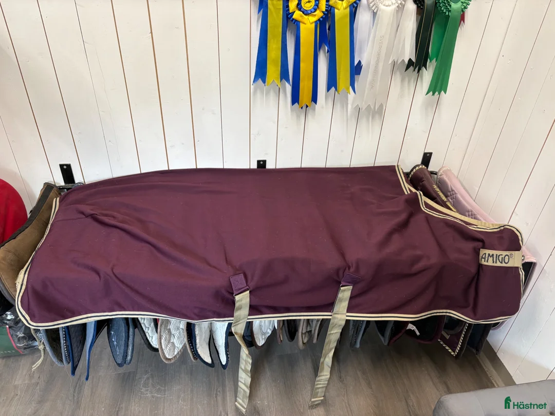 Täcken hästutrustning till salu: Amigo Jersey Cooler täcke  - Annons 2