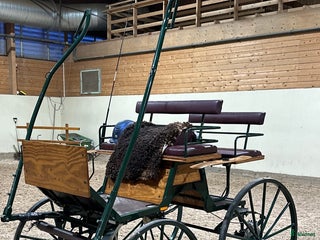 Körvagnar körning till salu: Dressyrvagn - Tidaholm i Klippan - Annons 8