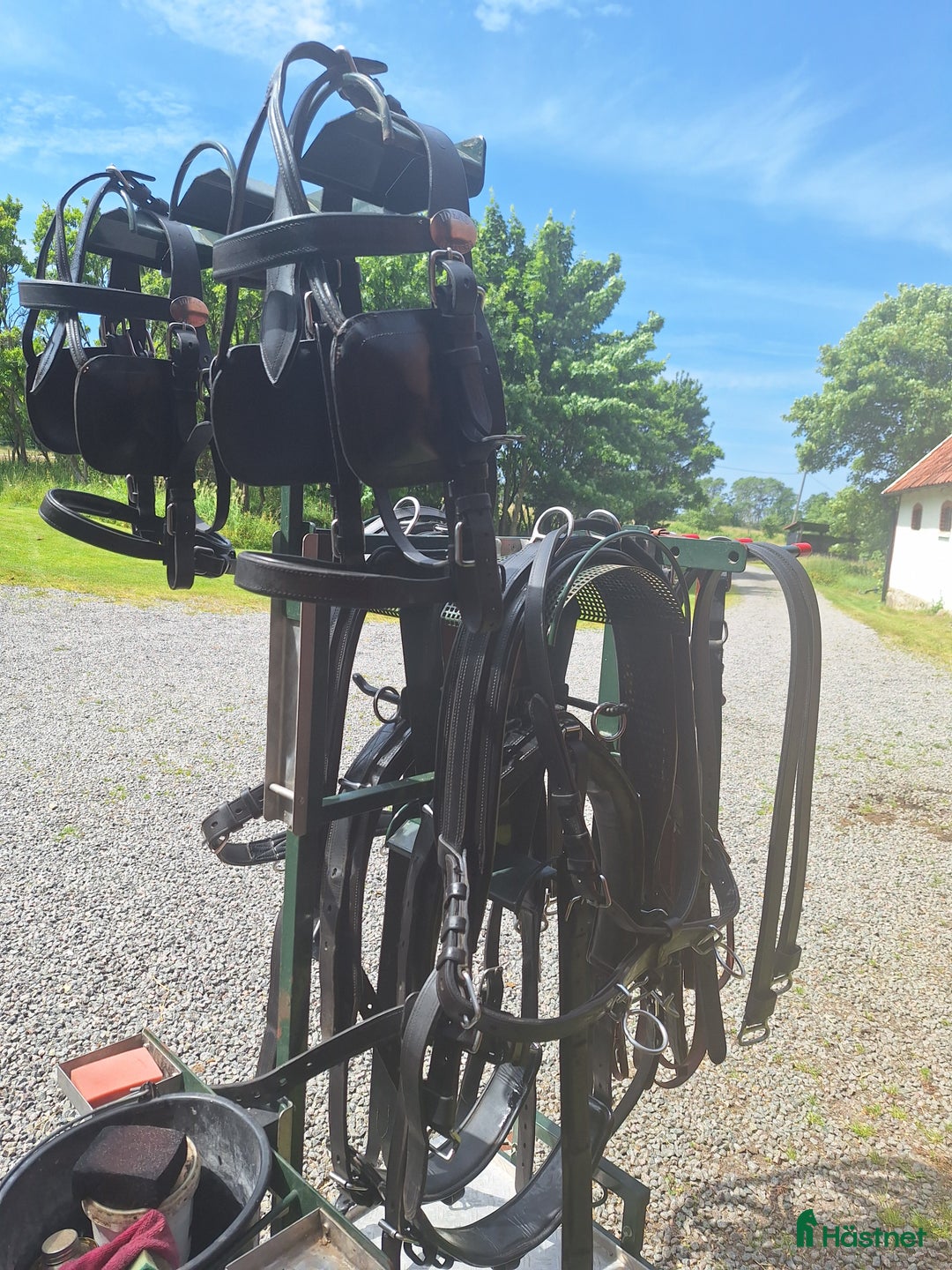 Körselar körning till salu: Ideal kombi sele par/enbet i Blentarp - Annons 1