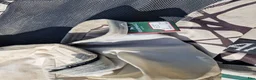 Täcken hästutrustning till salu: Regn/Flugtäcke Camofly 3-in-1 Plus Amigo Horseware - Annons 6