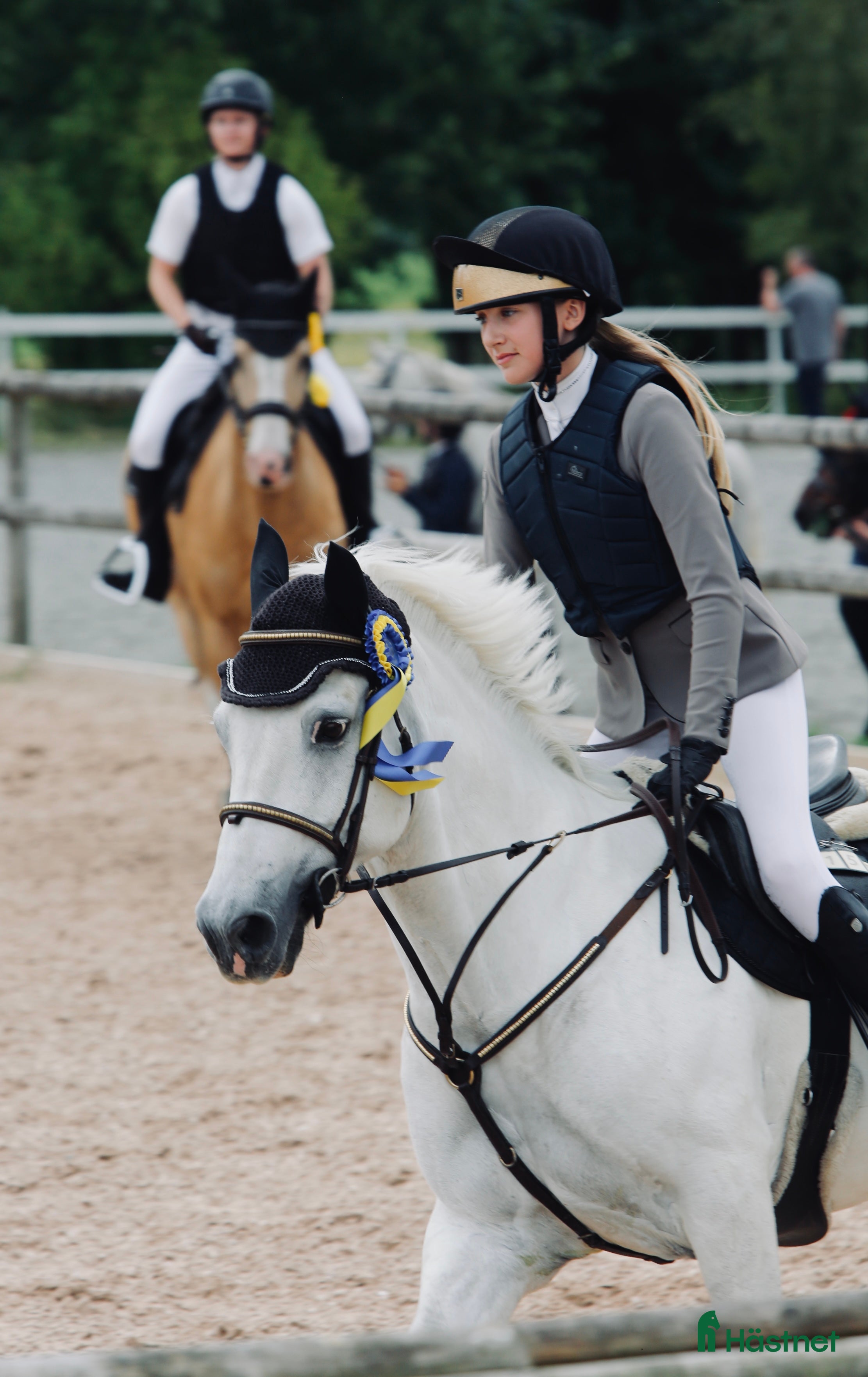  hästar Snäll och rolig bästa vän med kapacitet - Annons 1