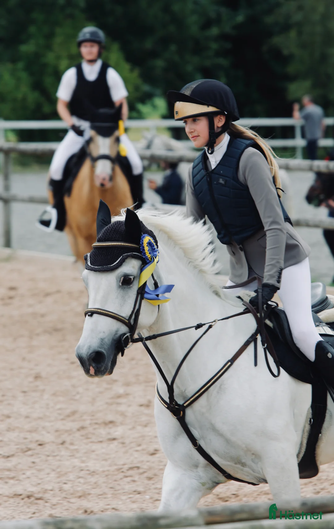 Allround hästar till salu: Snäll och rolig bästa vän med kapacitet i Össjö - Annons 1