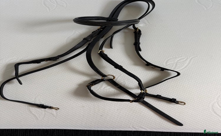 Övrig Hästutrustning hästutrustning till salu i Linköping - Annons 16