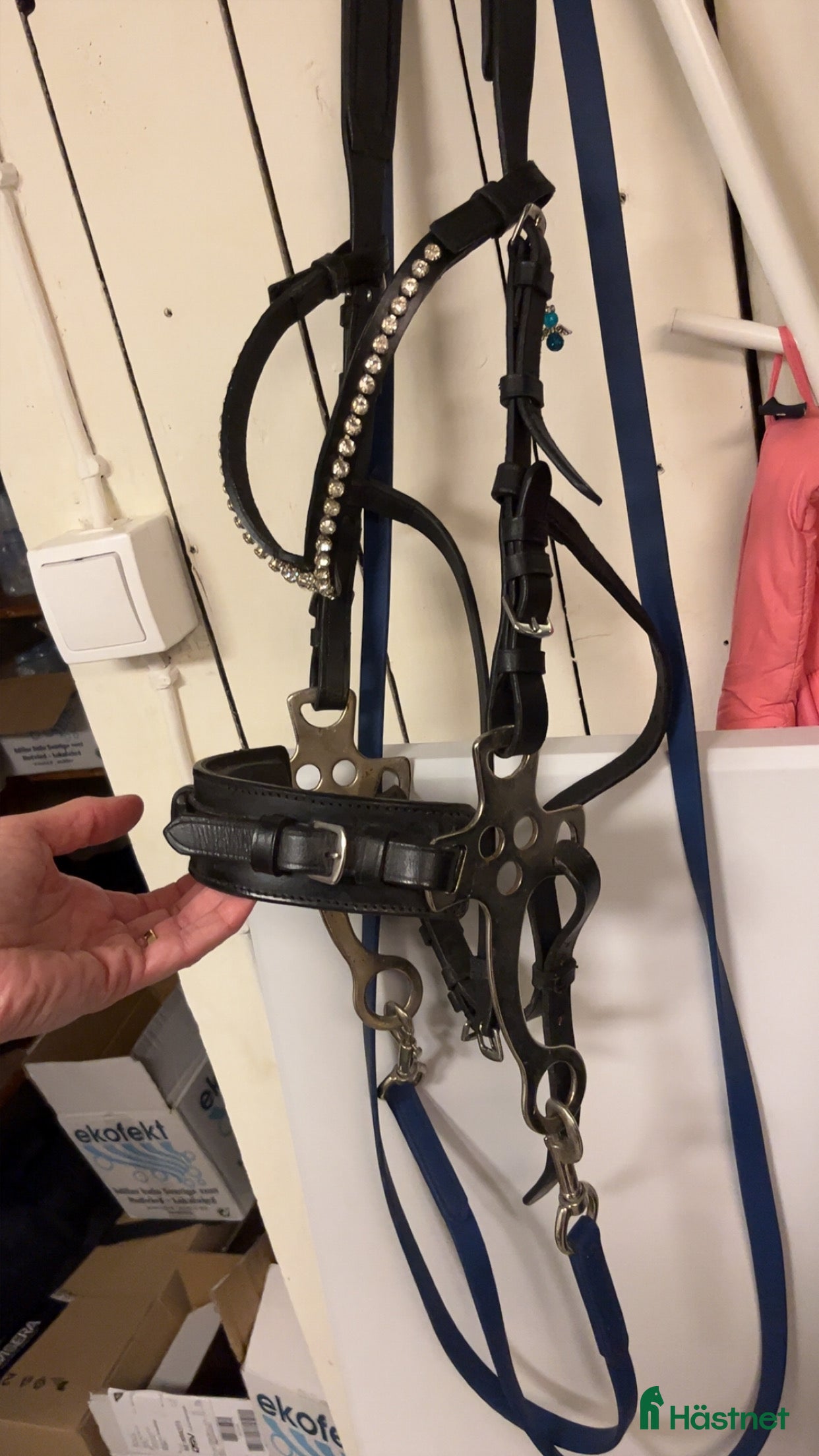 Träns hästutrustning Hackamore träns  i Björnlunda - Annons 1