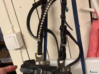 Träns hästutrustning Hackamore träns i Björnlunda - Annons 1