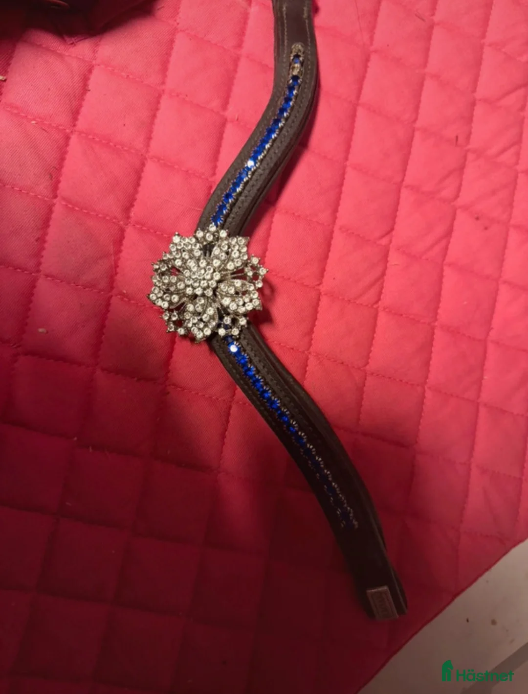 Träns hästutrustning till salu: Divoyh pannband - Annons 2