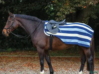 Täcken hästutrustning till salu: Rambo Ländtäcke i Vellinge - Annons 3