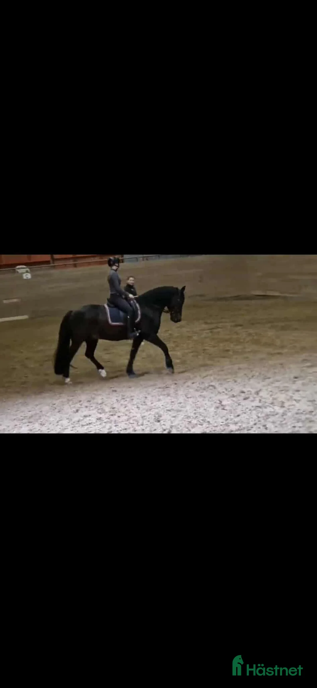  foderhäst finnes: Halvfodervärd sökes i Sturefors - Annons 4