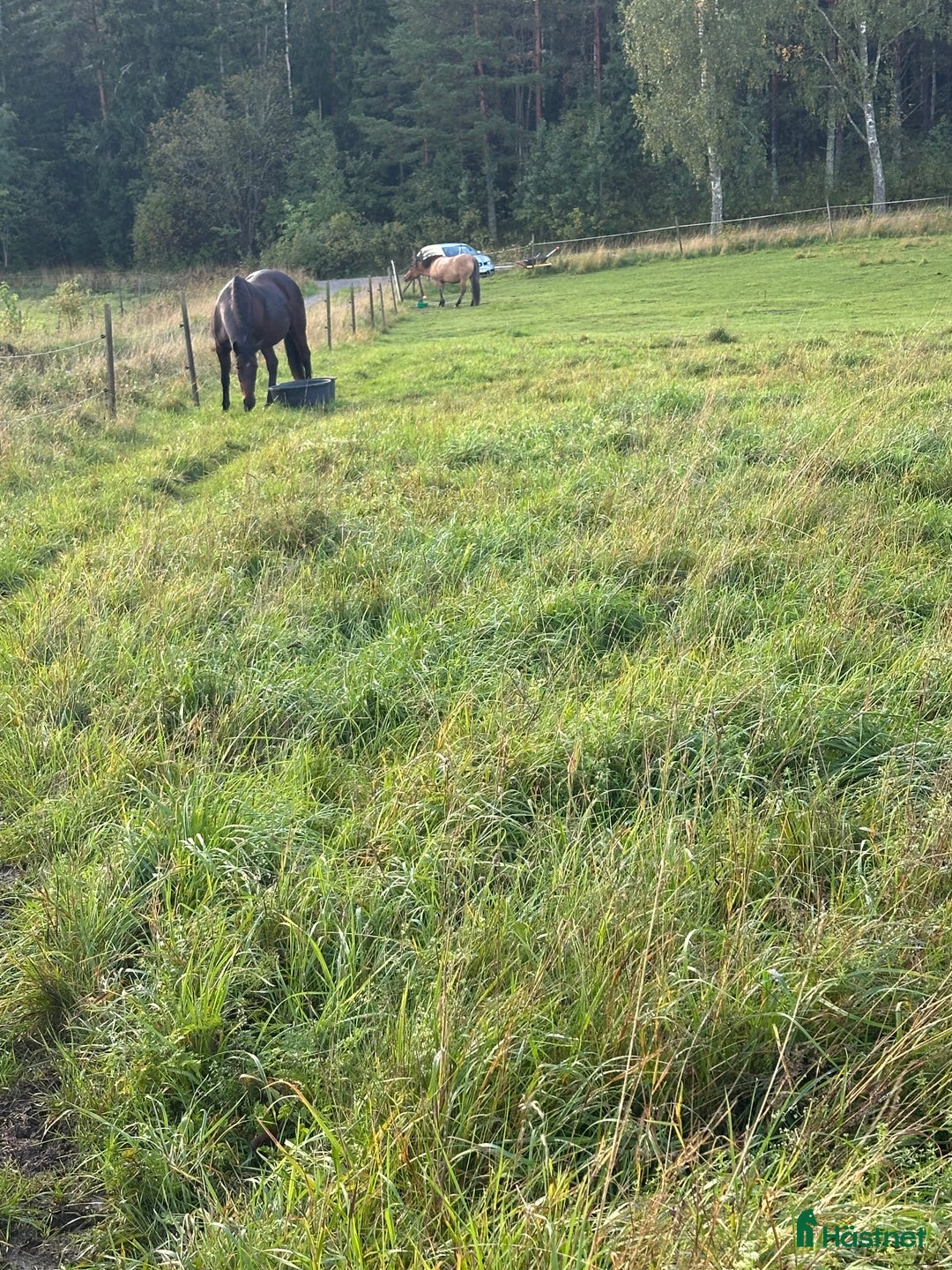  stallplats finnes: Lösdrift finnes i Upplands Väsby - Annons 1