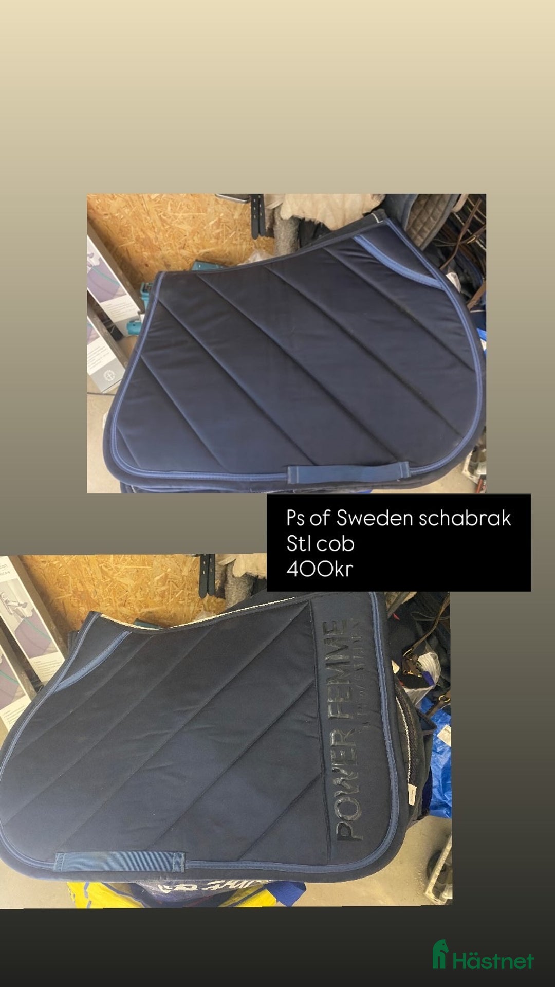 Schabrak & Vojlockar hästutrustning till salu: Snyggt schabrak  i Vetlanda - Annons 1