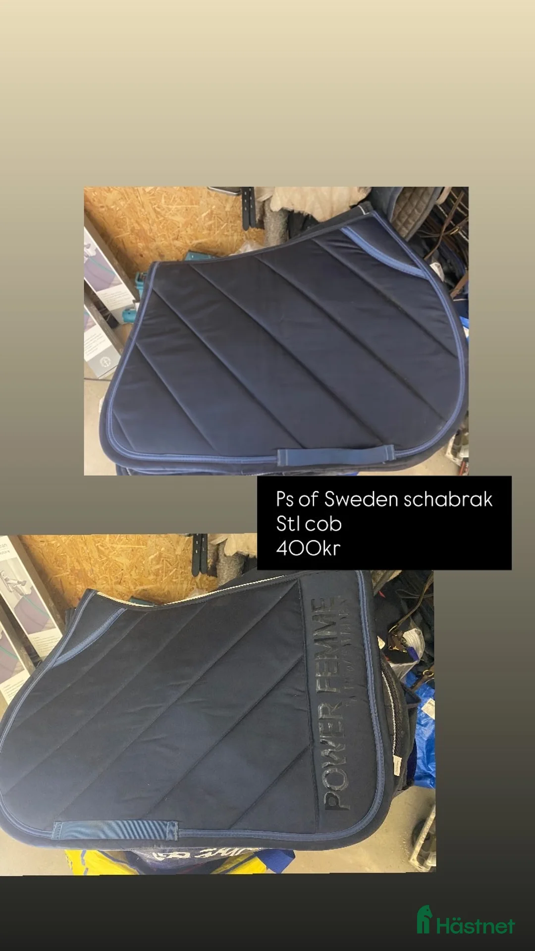 Schabrak & Vojlockar hästutrustning till salu: Snyggt schabrak  i Vetlanda - Annons 1