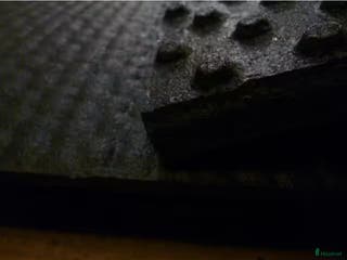 Stallinredning, stängsel & gård övrig utrustning till salu: Broddmatta i Uppsala - Annons 1