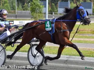 Travsulkys trav till salu: Sulky + värmningsvagn - Annons 1