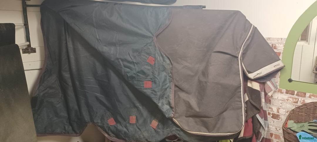 Täcken hästutrustning till salu: Amigo halvhals 0g i Skultuna - Annons 4