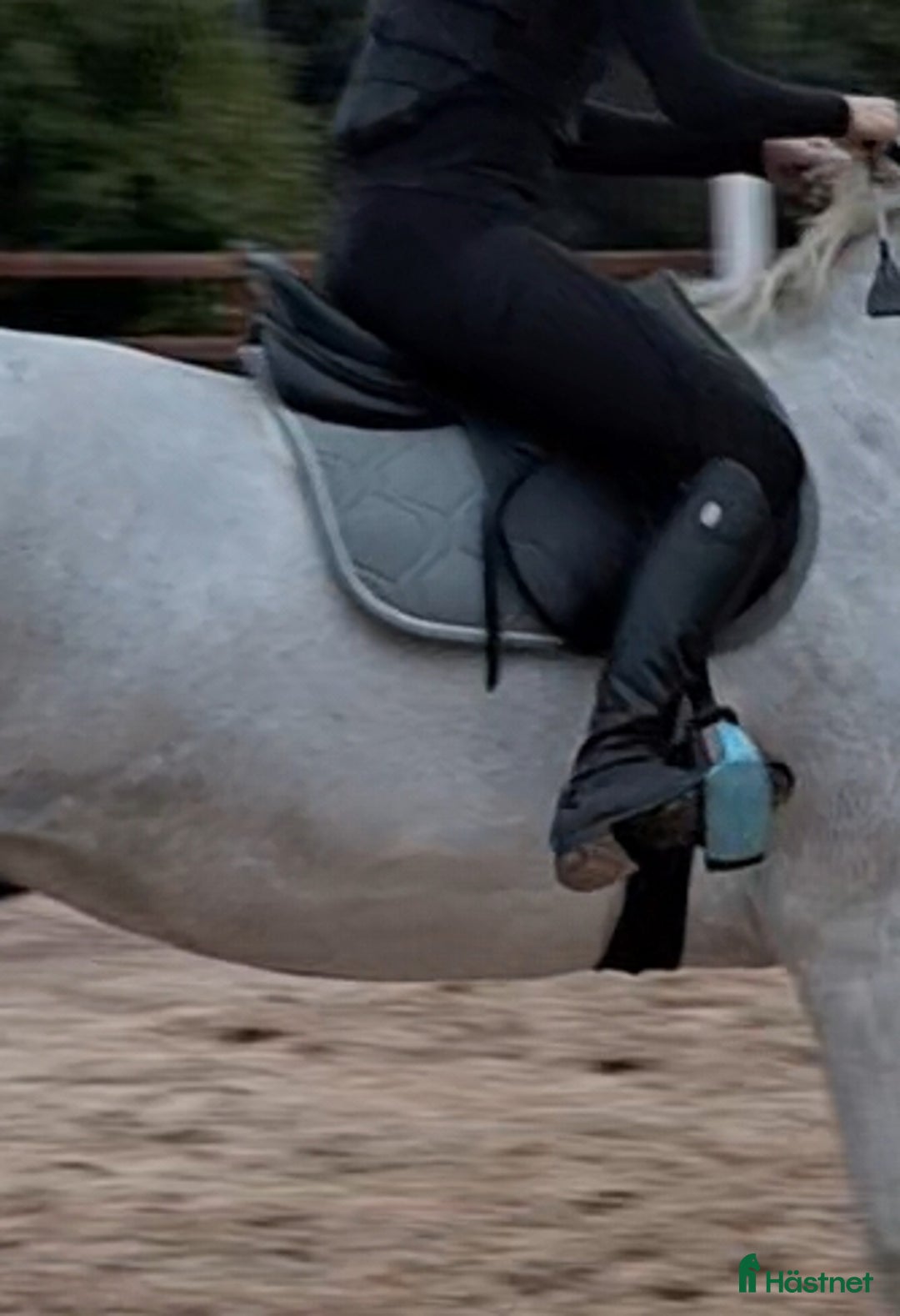 Schabrak & Vojlockar hästutrustning till salu: Schabrak i fint skick! i Sturkö - Annons 1