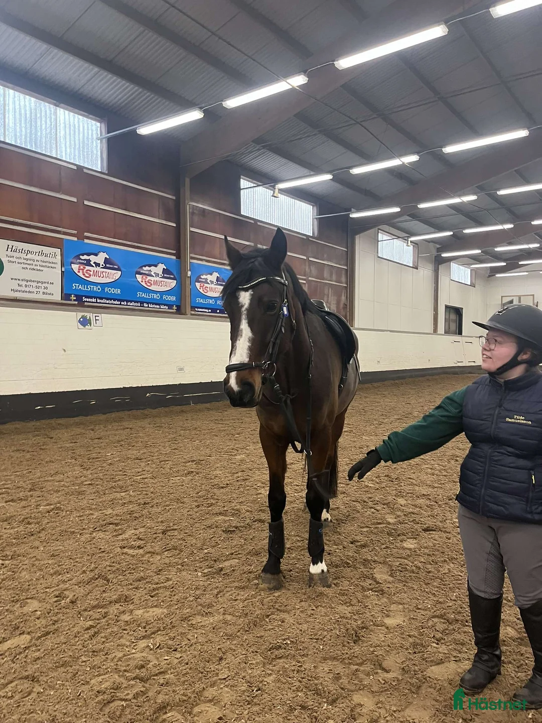  hästjobb finnes: hästtjej söker hästjobb på ridskola - Annons 3
