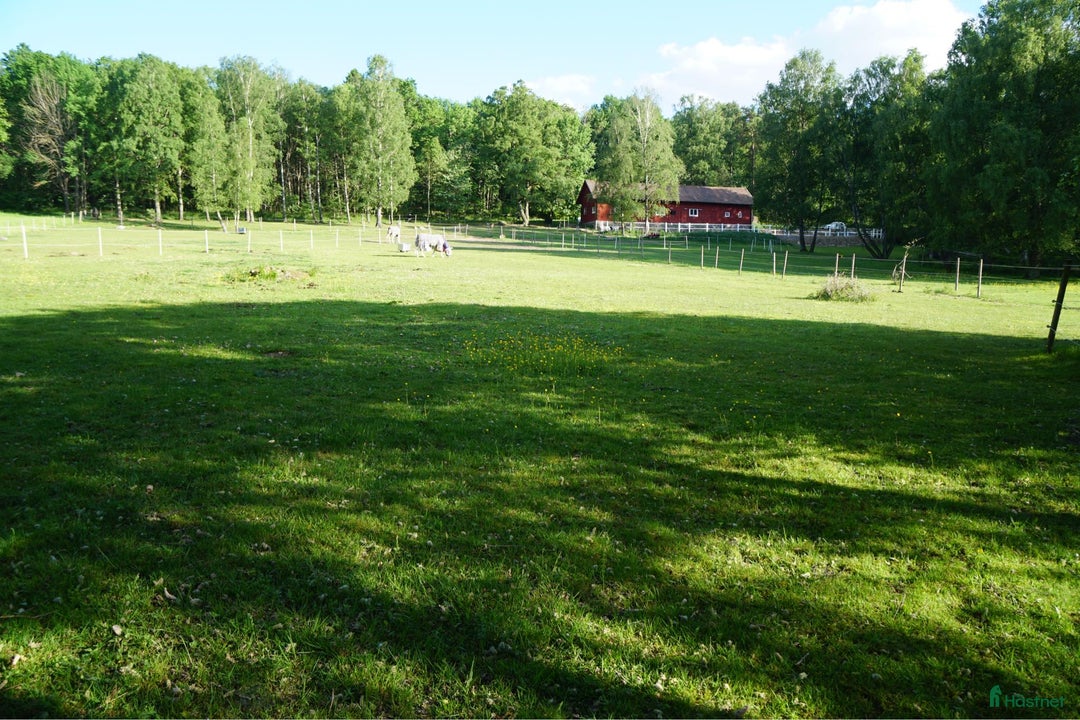  stallplats finnes: Ponnybox i centrala Göteborg  i Göteborg - Annons 5