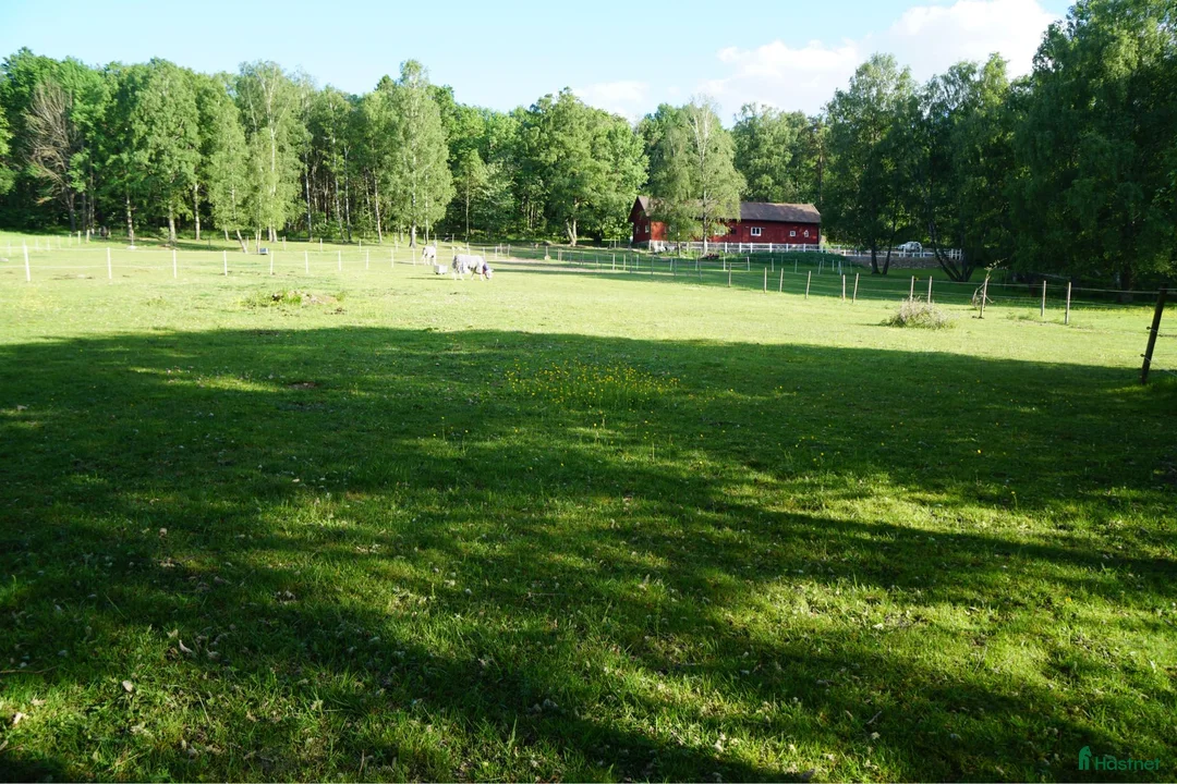 stallplats finnes: Box i centrala Göteborg  - Annons 5