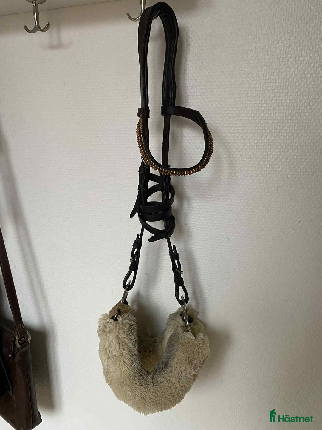 Övrig Hästutrustning hästutrustning till salu: Massa utrustning! i Lund - Annons 16