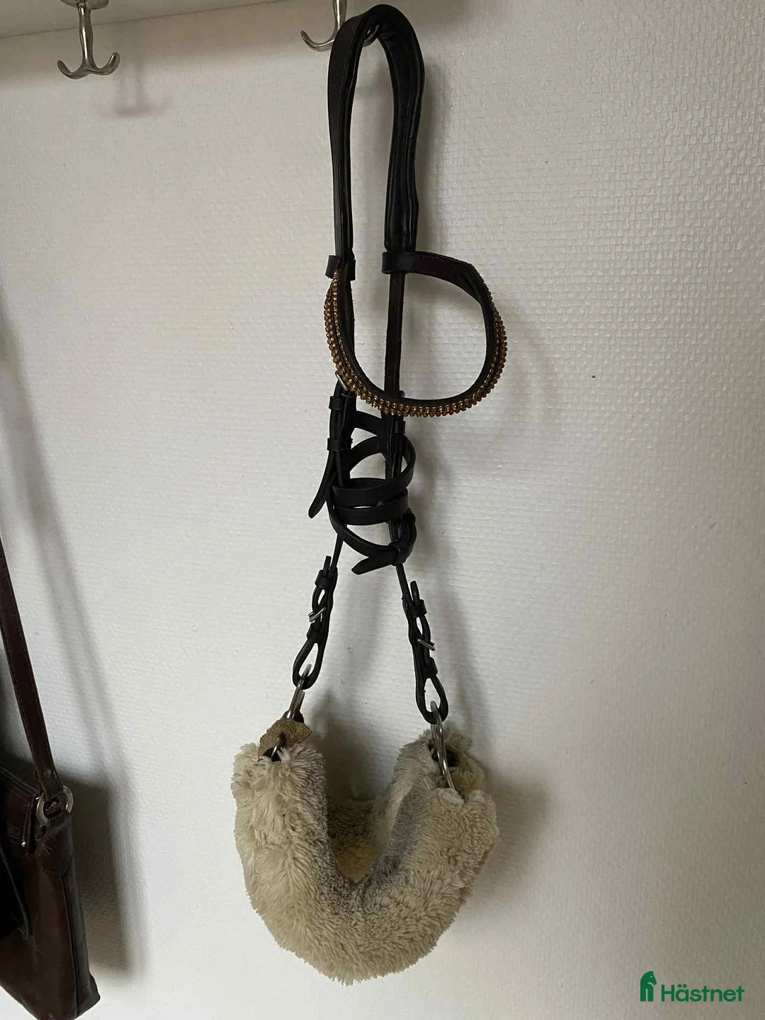 Övrig Hästutrustning hästutrustning till salu: Massa utrustning! i Lund - Annons 16