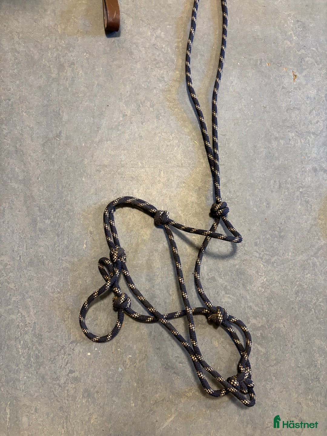 Övrig Hästutrustning hästutrustning till salu: Billigt allt ska bort i Grödinge - Annons 4