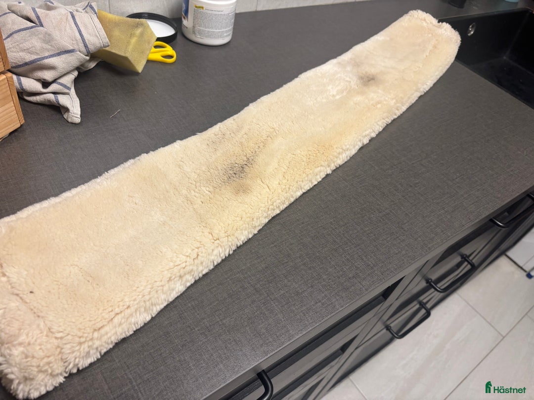 Sadeltillbehör hästutrustning till salu: Sadelgjordstunnel i Landskrona - Annons 3