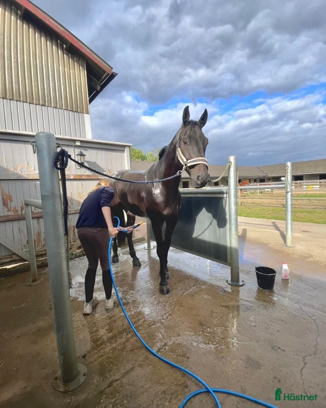  stallplats finnes: Stallplats i Eslöv i Eslöv - Bild 4