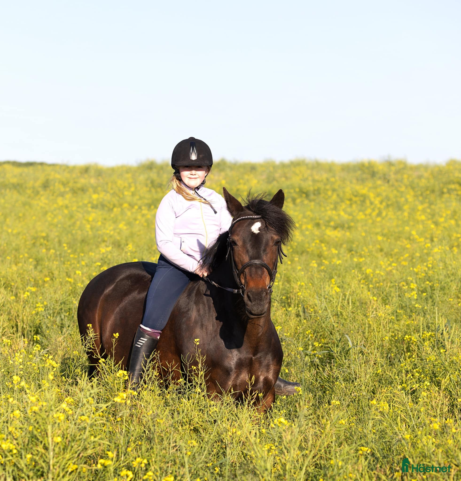  hästar Läromästare, mor/dotter ponny - Annons 3