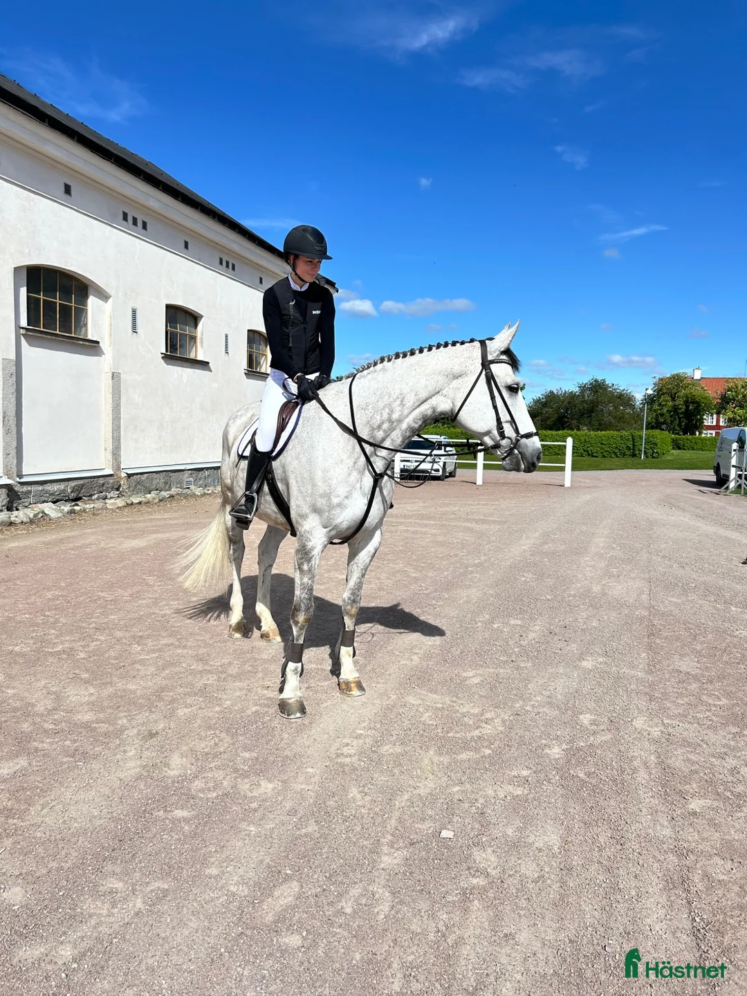 Hoppning hästar sökes: Söker tävlingshäst🌸 i Eskilstuna - Annons 1