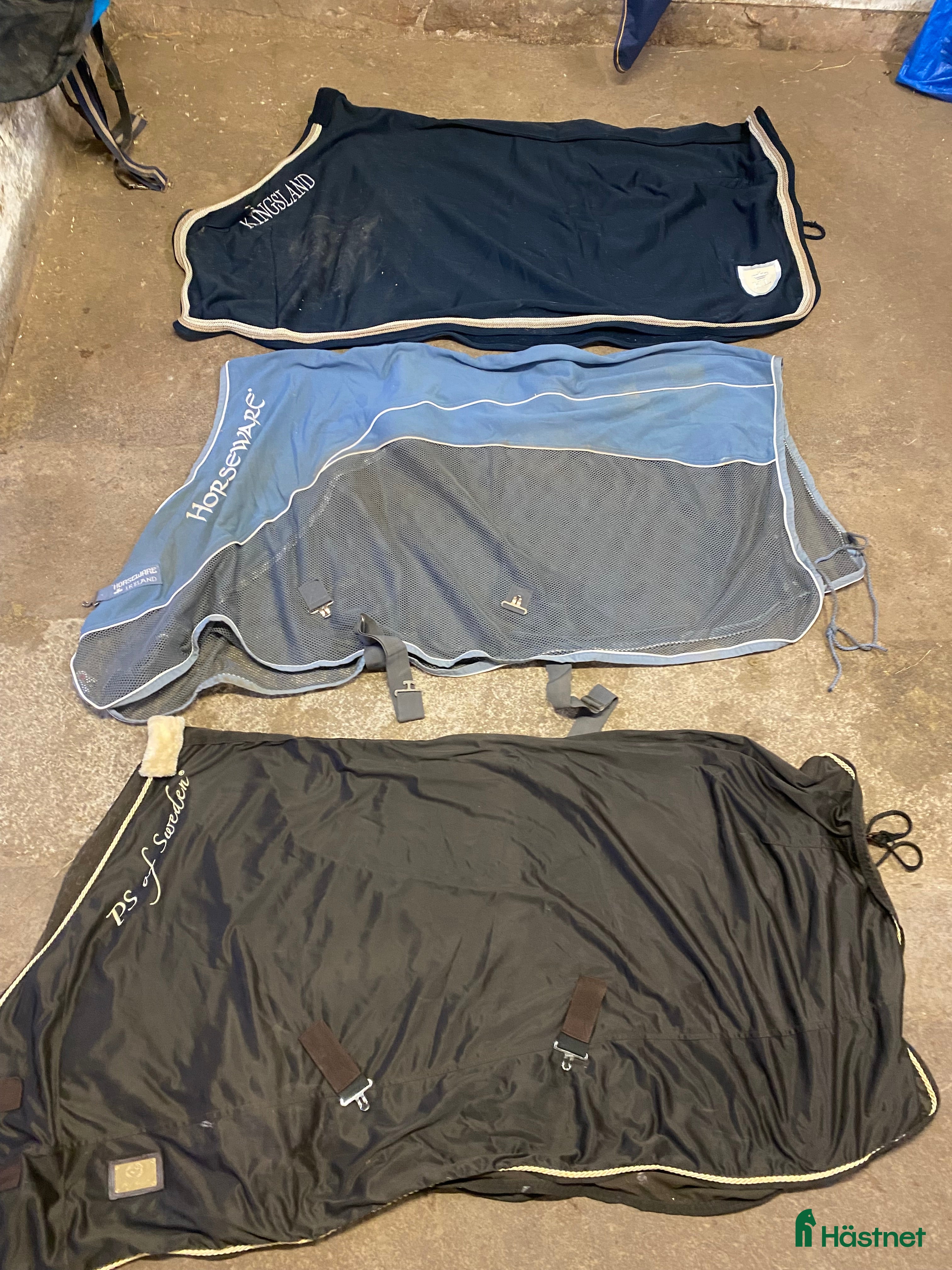 Täcken hästutrustning till salu: Märkes- täcken  i Karlskrona - Annons 19
