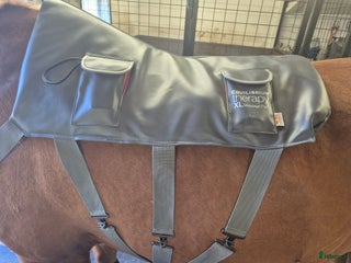 Övrig Hästutrustning hästutrustning till salu: Massagepad för häst 155+ i Ullånger - Annons 6