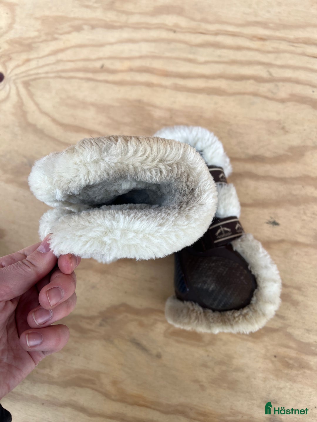 Benskydd hästutrustning till salu: Veredus skydd i Brålanda - Annons 4