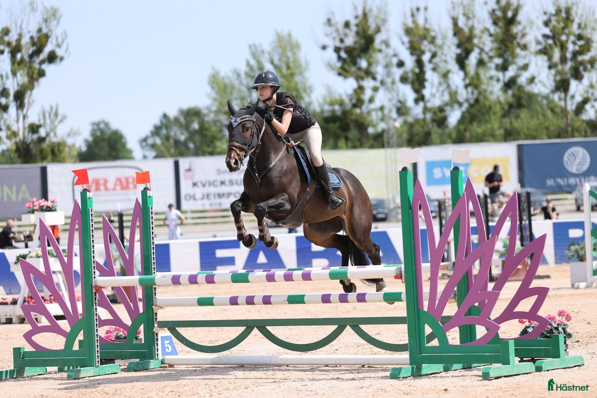 Hoppning hästar till salu: Lovande D-ponny med hjärta och potential 🌟❤️  - Annons 1