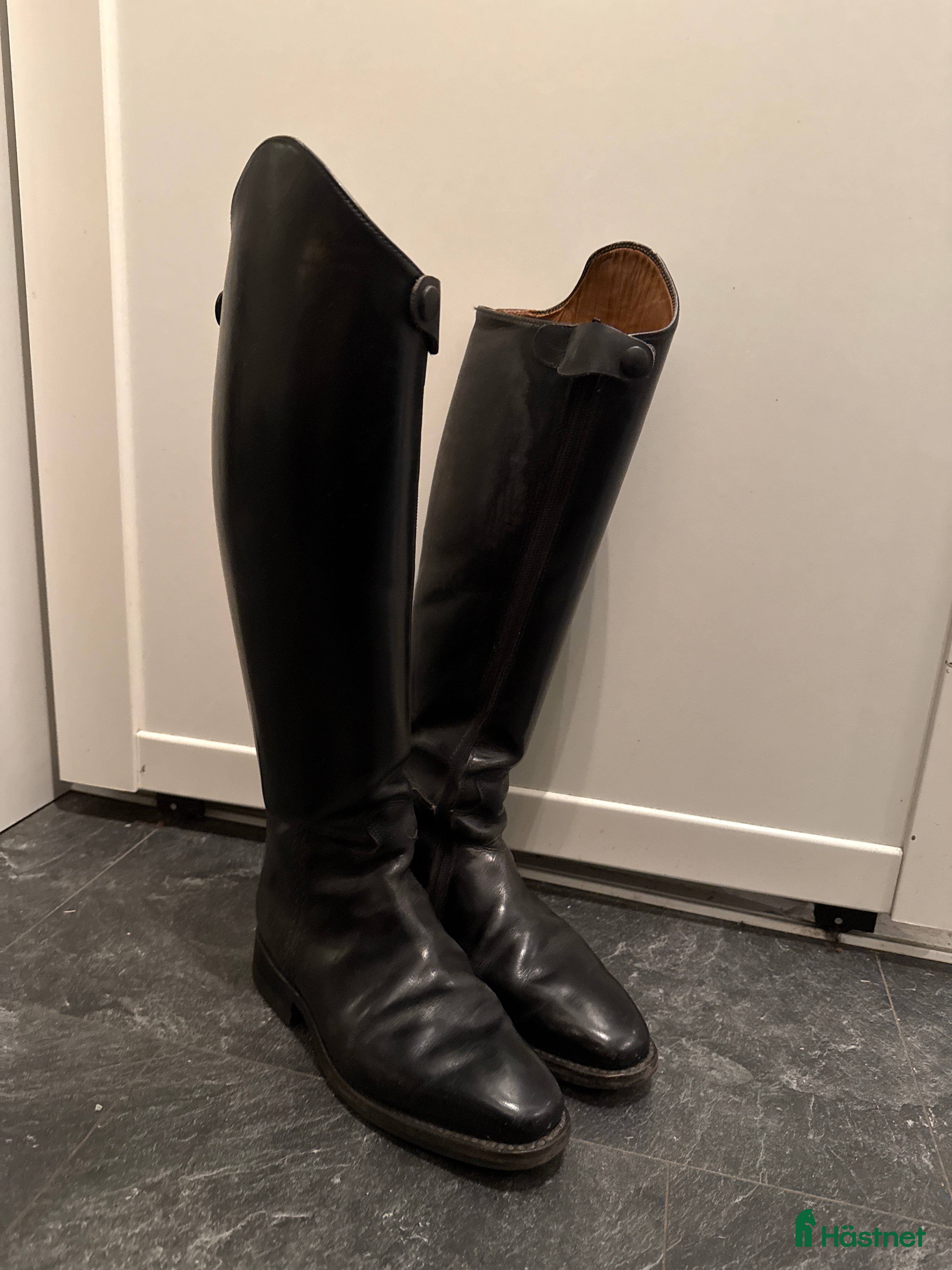 Ridstövlar ryttarutrustning till salu: Apollo ridstövlar  i Skogås - Annons 1
