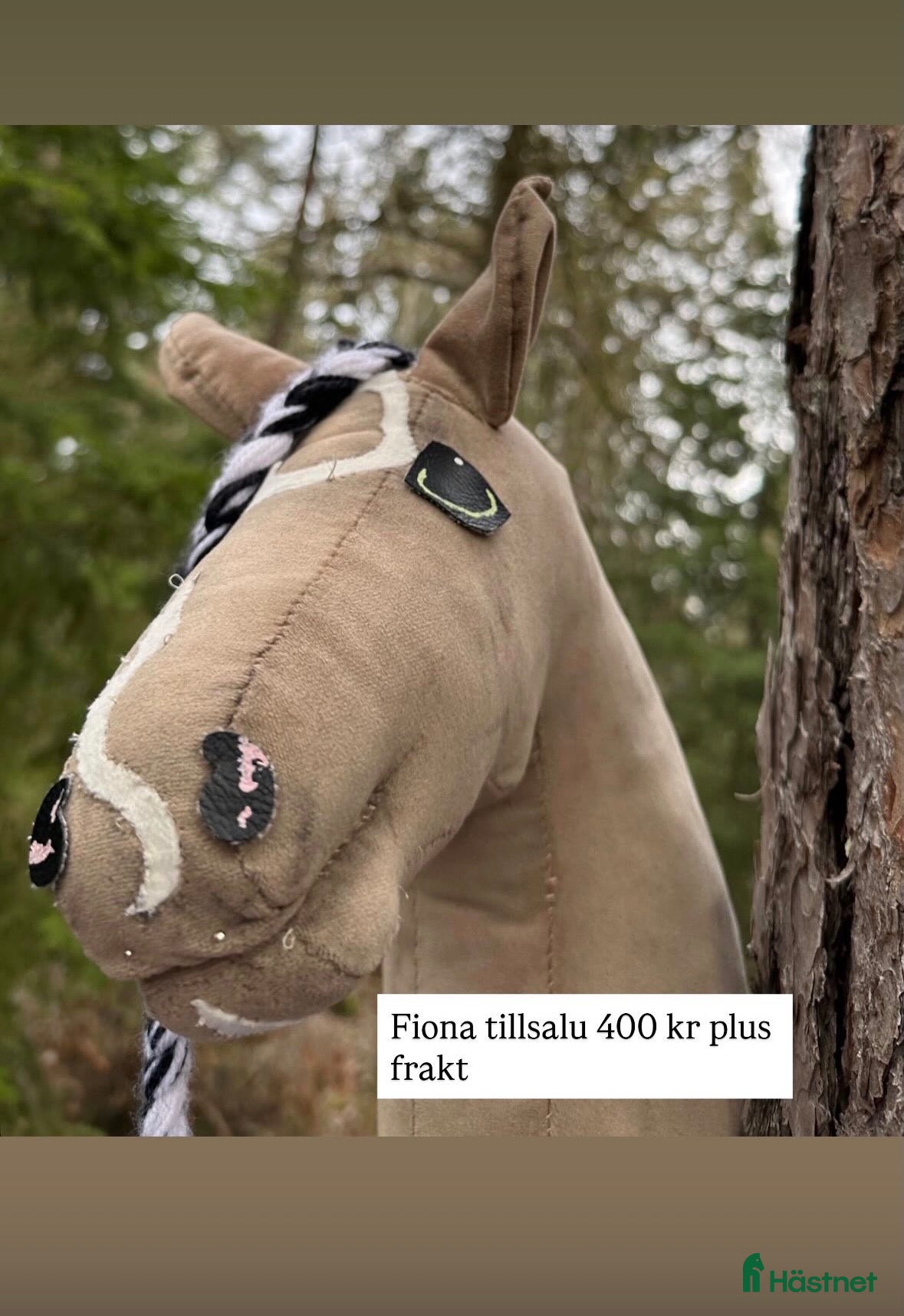Övrig utrustning övrig utrustning till salu: Fiona tillsalu  - Annons 5