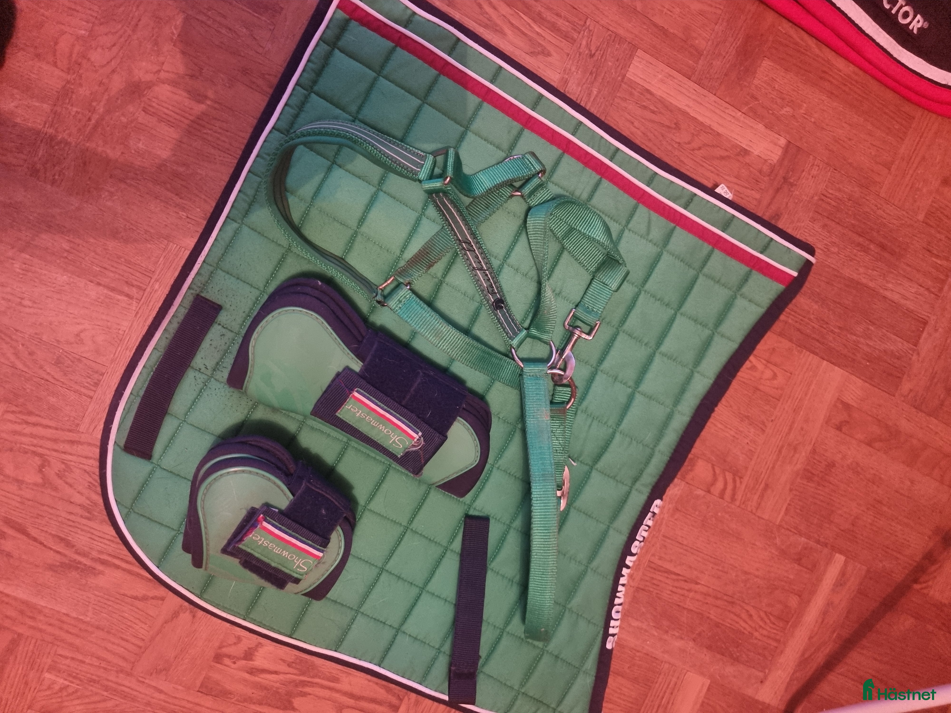 Schabrak & Vojlockar hästutrustning Schabrak full  i Nybro - Annons 12