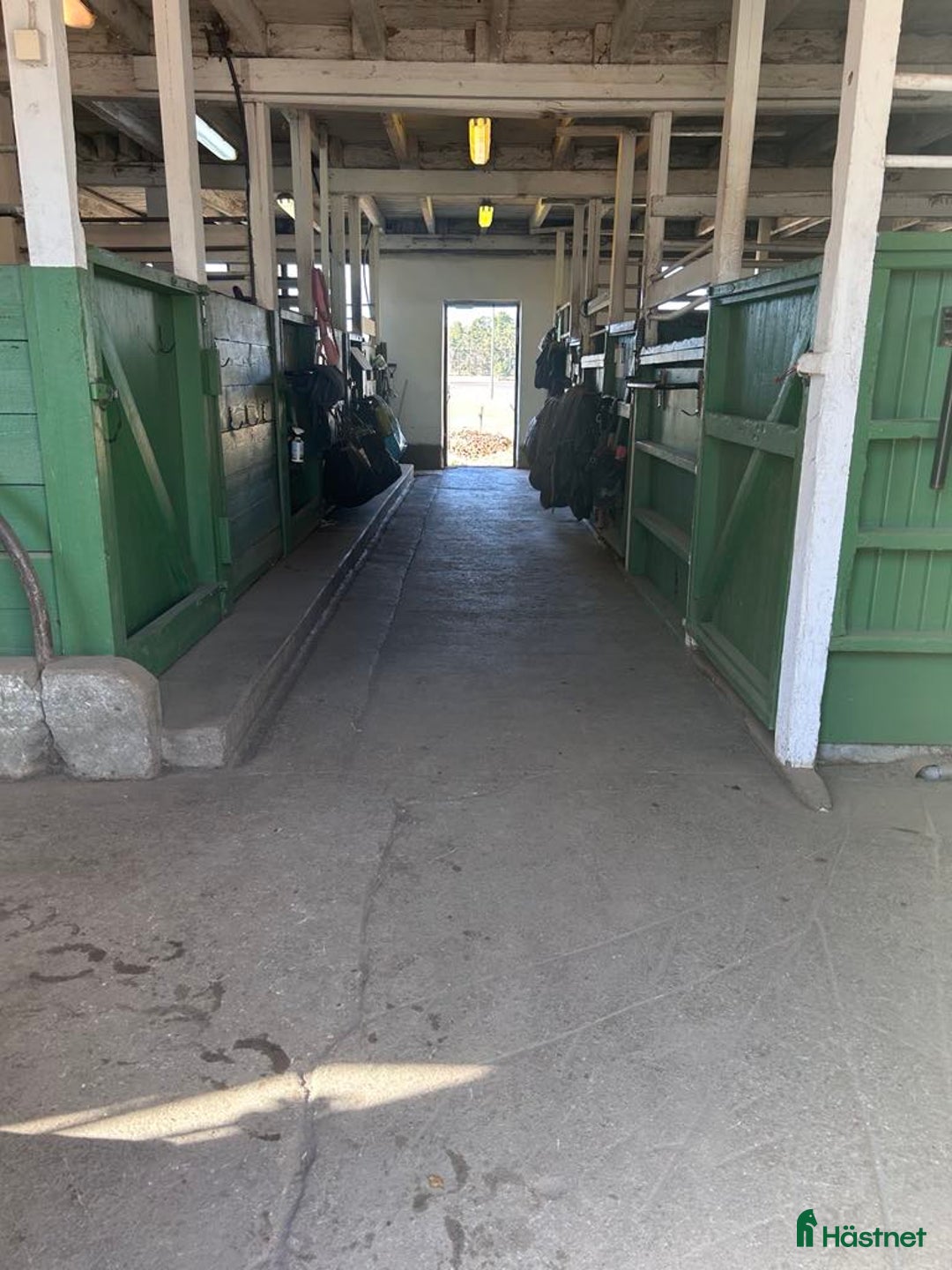  stallplats finnes: Ledig boxplats på Stall Ekhamra, Norrköping i Norrköping - Annons 3