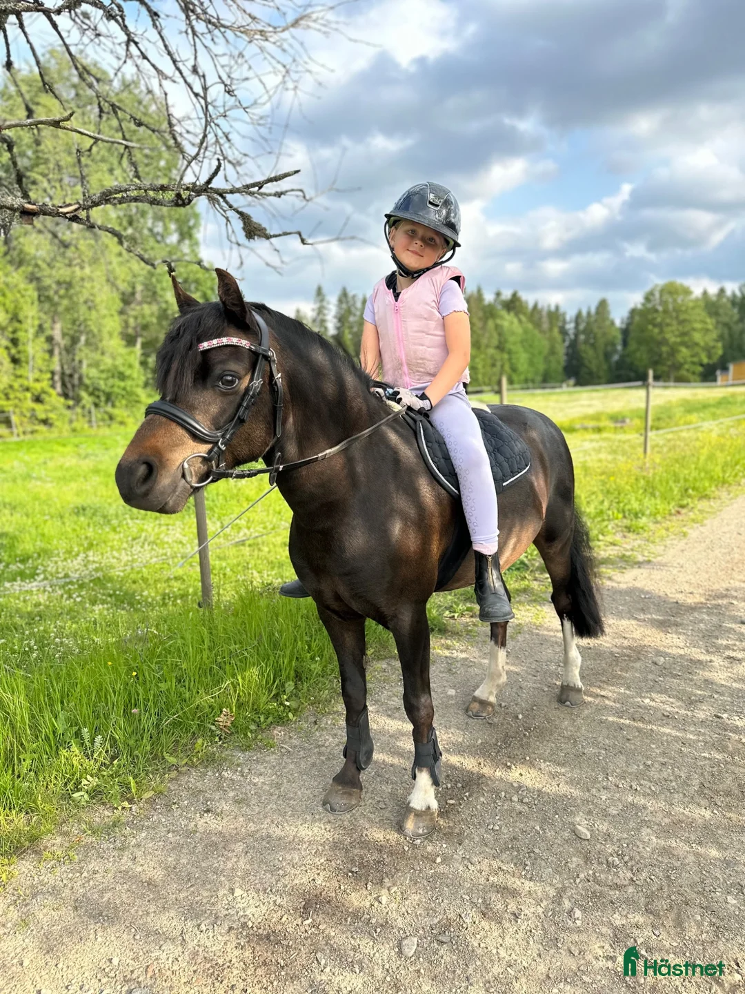 Allround hästar till salu: Superfin B-ponny! - Annons 2