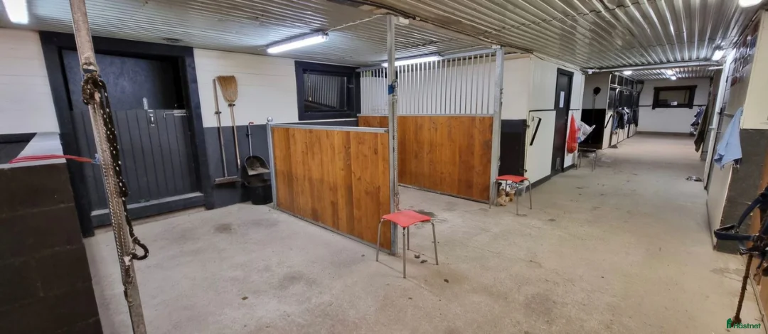  stallplats finnes: 🐴 LEDIGA STALLPLATSER – HORRED 🐴 - Annons 5