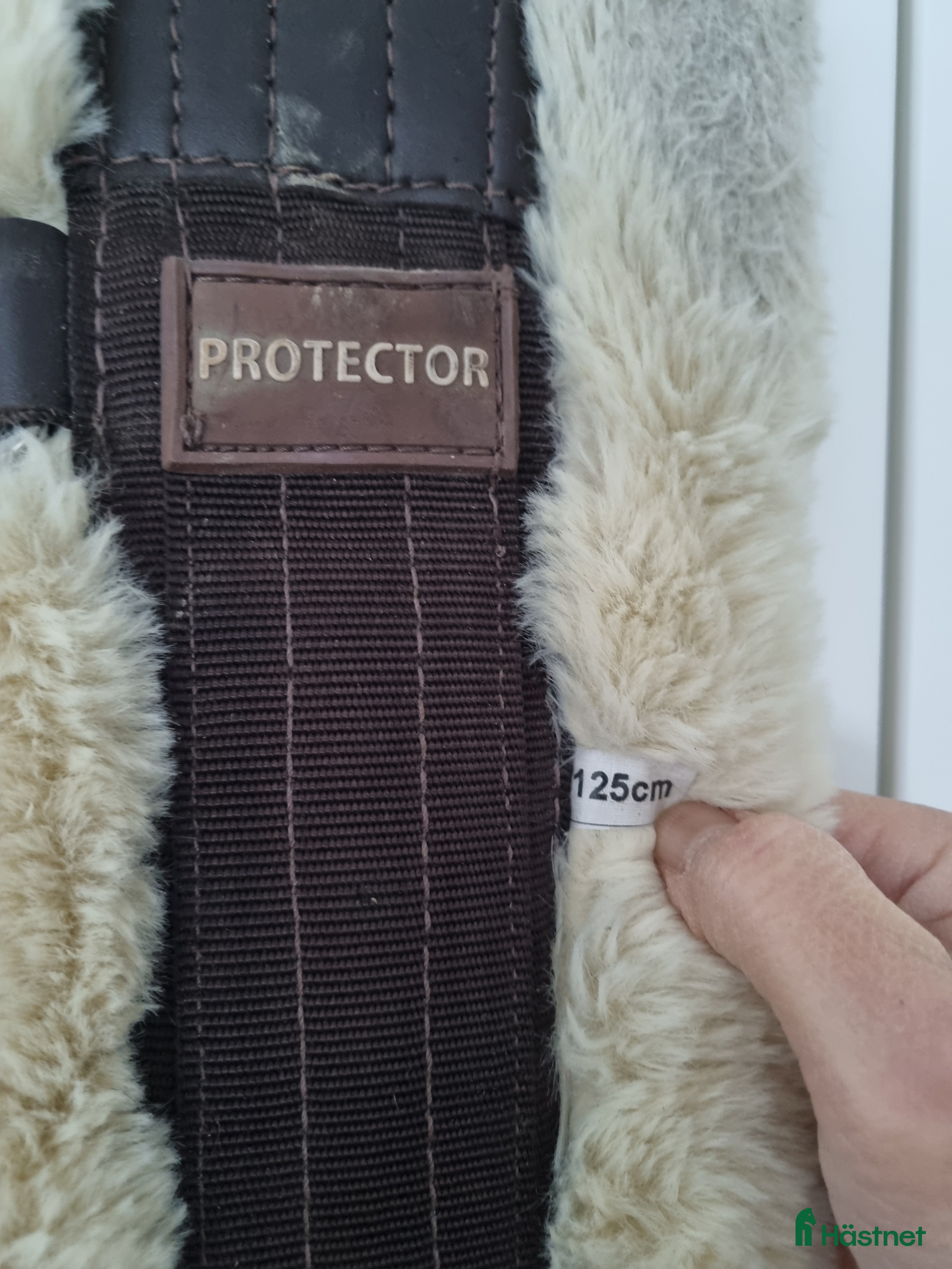 Sadeltillbehör hästutrustning till salu: Protector sadelgjord med fluff 125 cm - Annons 15