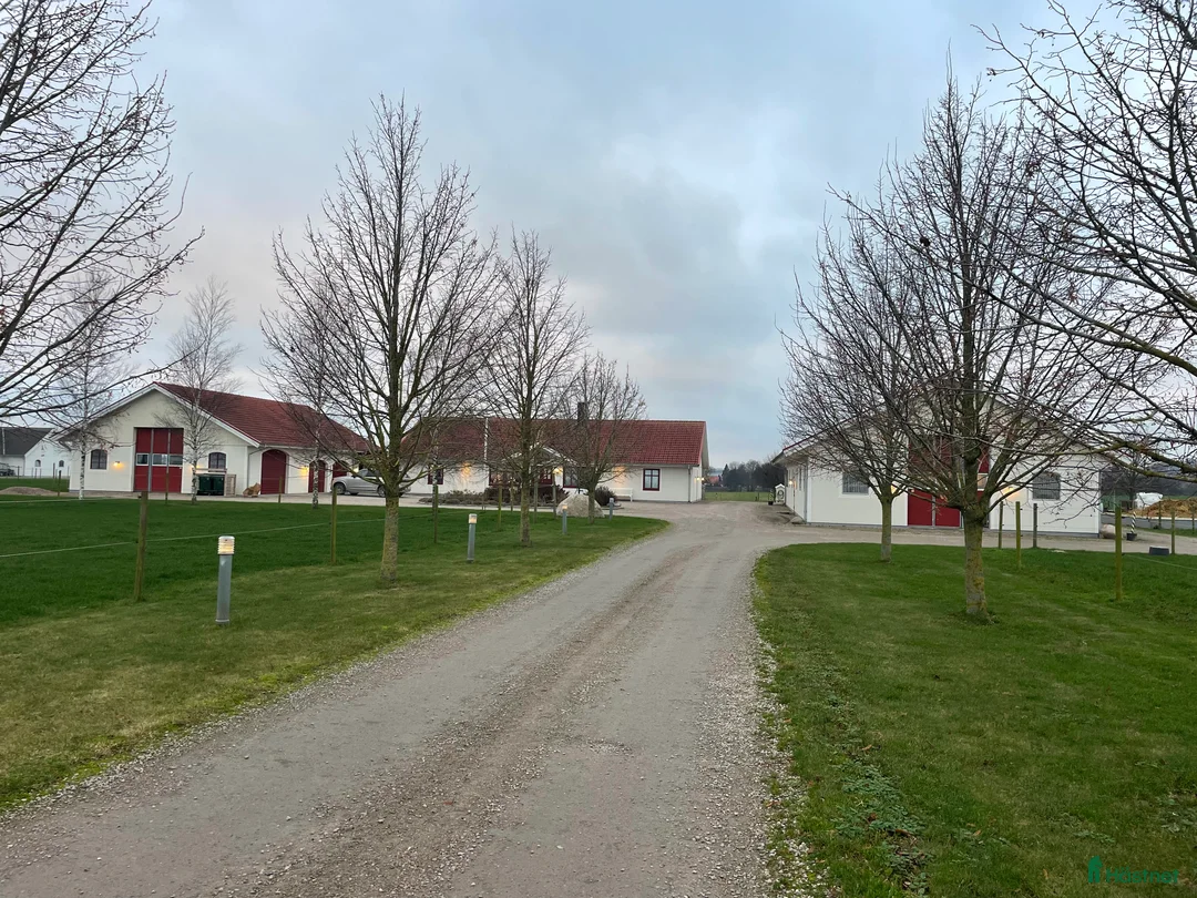  stallplats finnes: Lediga boxplatser strax utanför Ystad.  - Annons 5