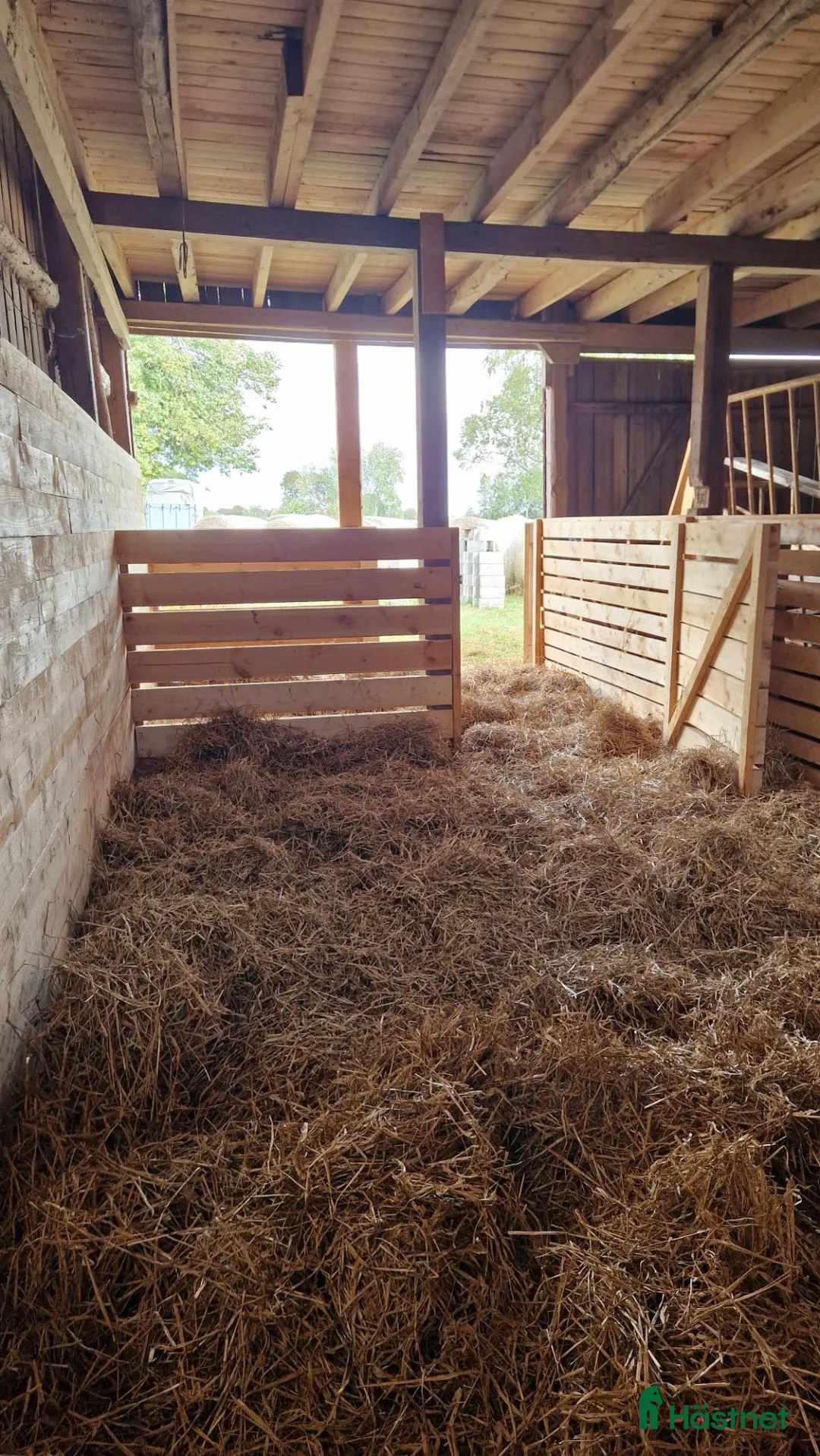  stallplats finnes: Lösdrift Åsarp i Åsarp - Annons 4