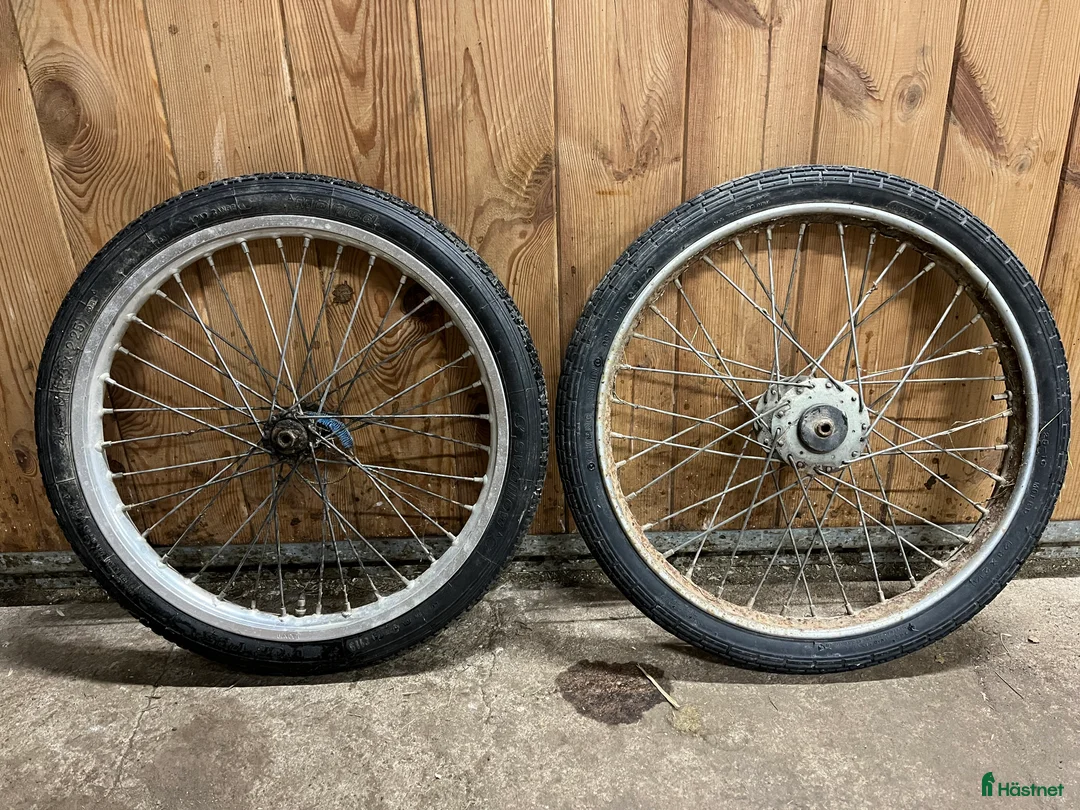 Körvagnar körning till salu: Fin Rockard tvåsitsig + komplett körsele i Ängelholm - Annons 12