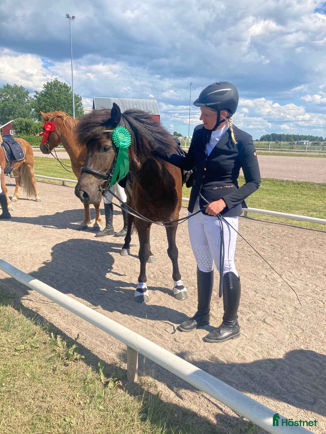  hästservice finnes: Lektioner/lämna häst på träning i Åkersberga - Annons 5