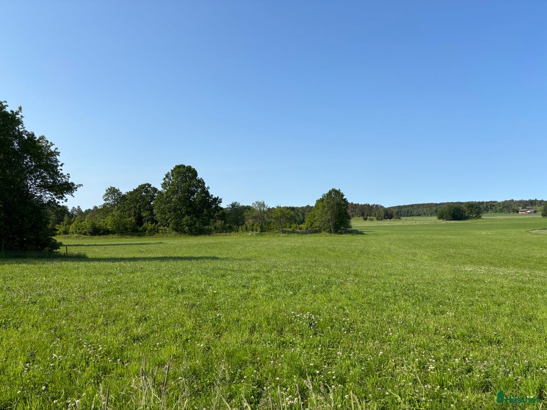 Dressyr hästar sökes: Dressyr häst sökes i Torsö - Annons 1